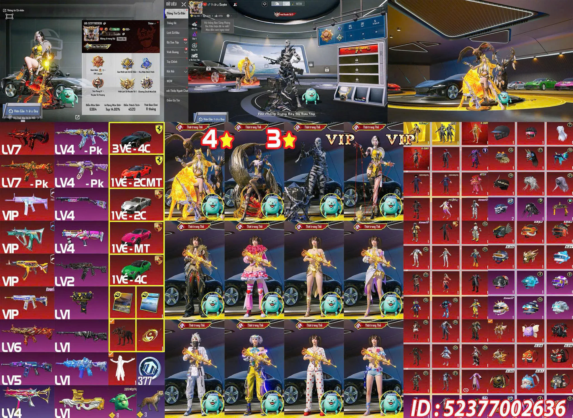 Ảnh tài khoản mã 10705