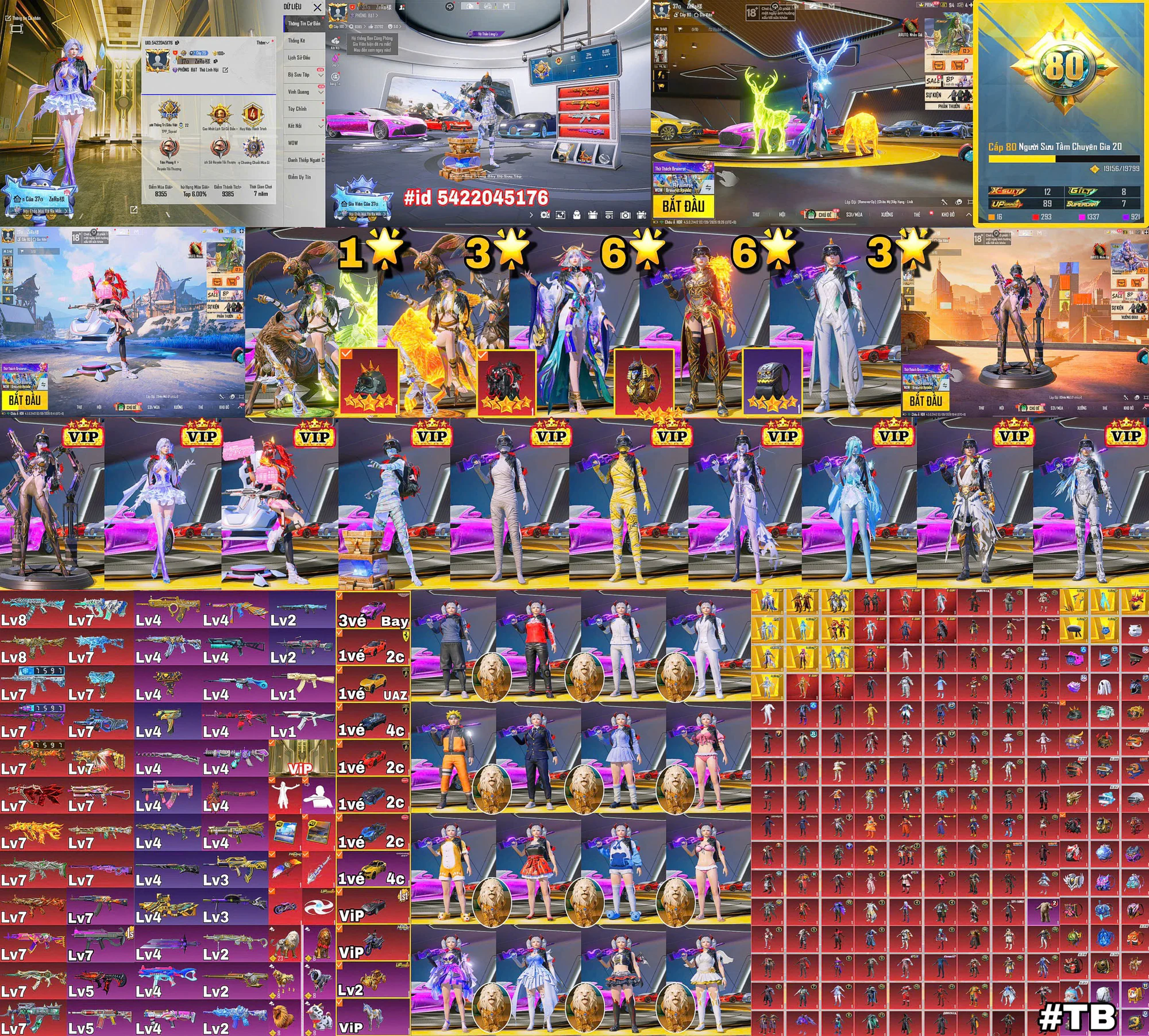Ảnh tài khoản mã 1229
