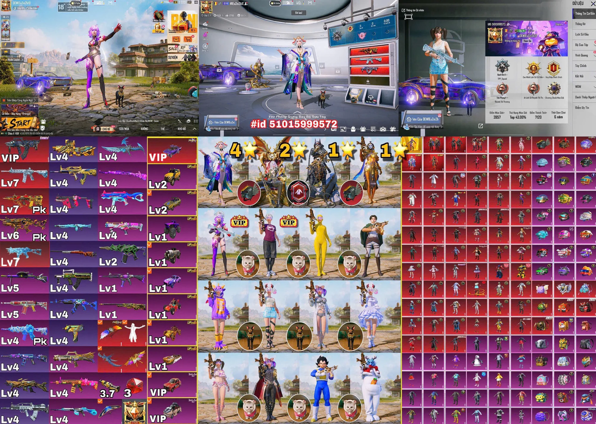 Ảnh tài khoản mã 10907