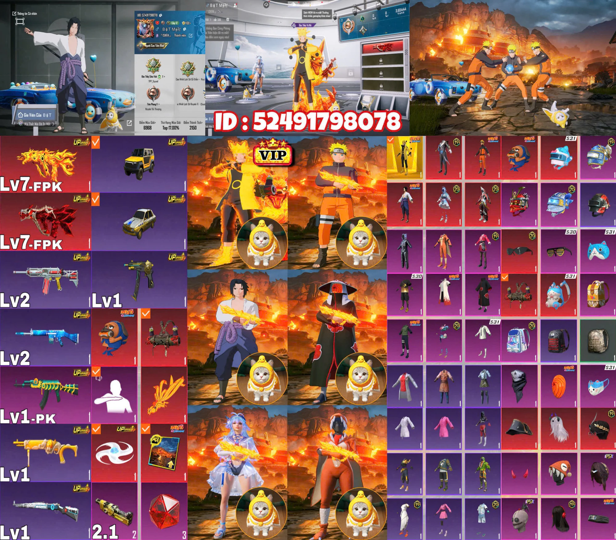 Ảnh tài khoản mã 1145